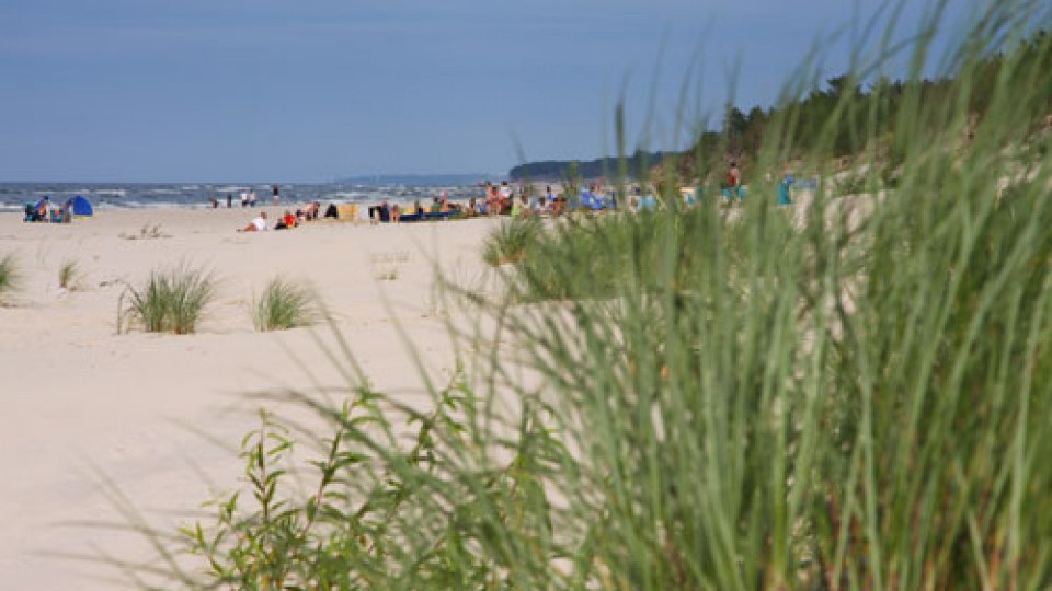Rogowska plaża