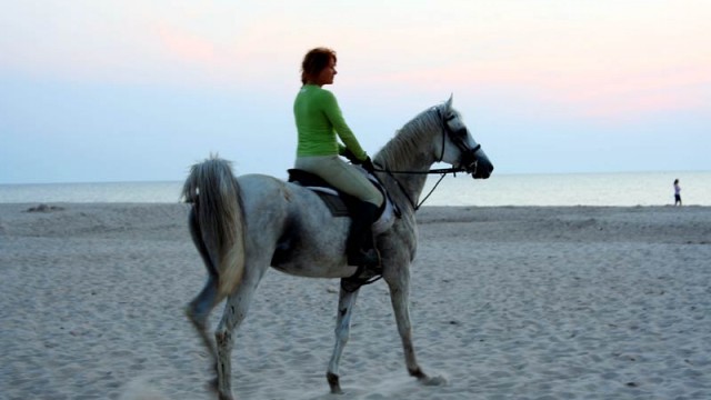 Konie na plaży