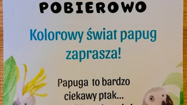 Papugarnia Pobierowo