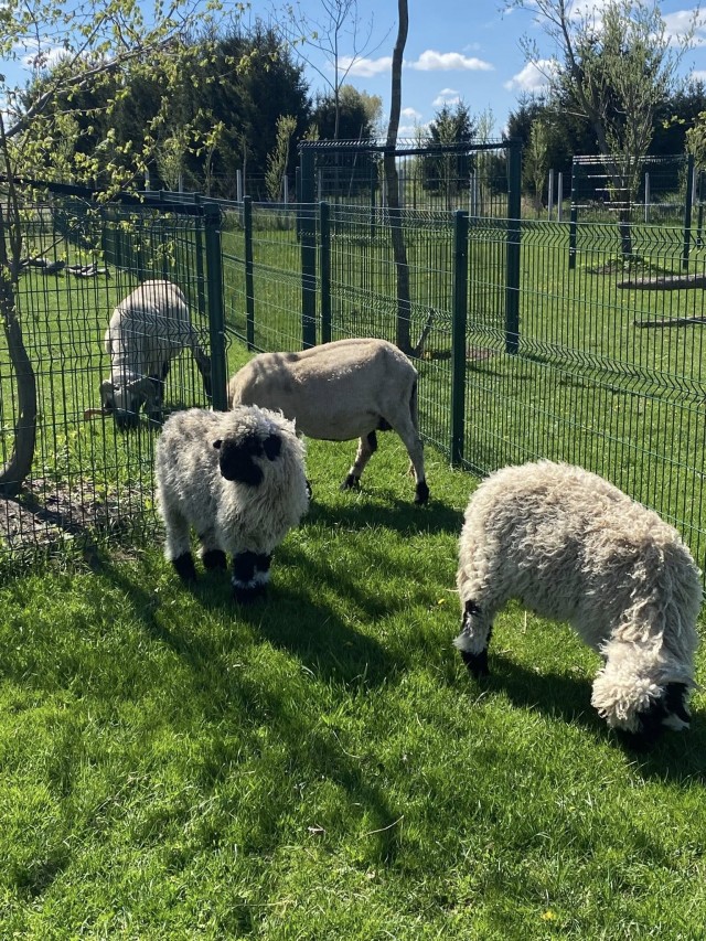 Mini ZOO Farma Jantar