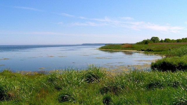 Rezerwat Słone Łąki