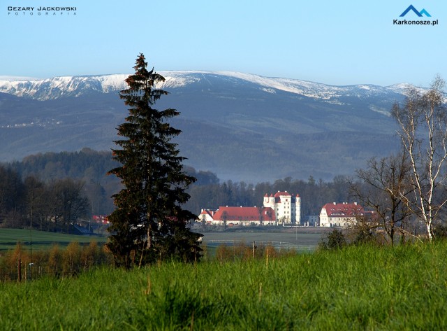 Pałac Wojanów 