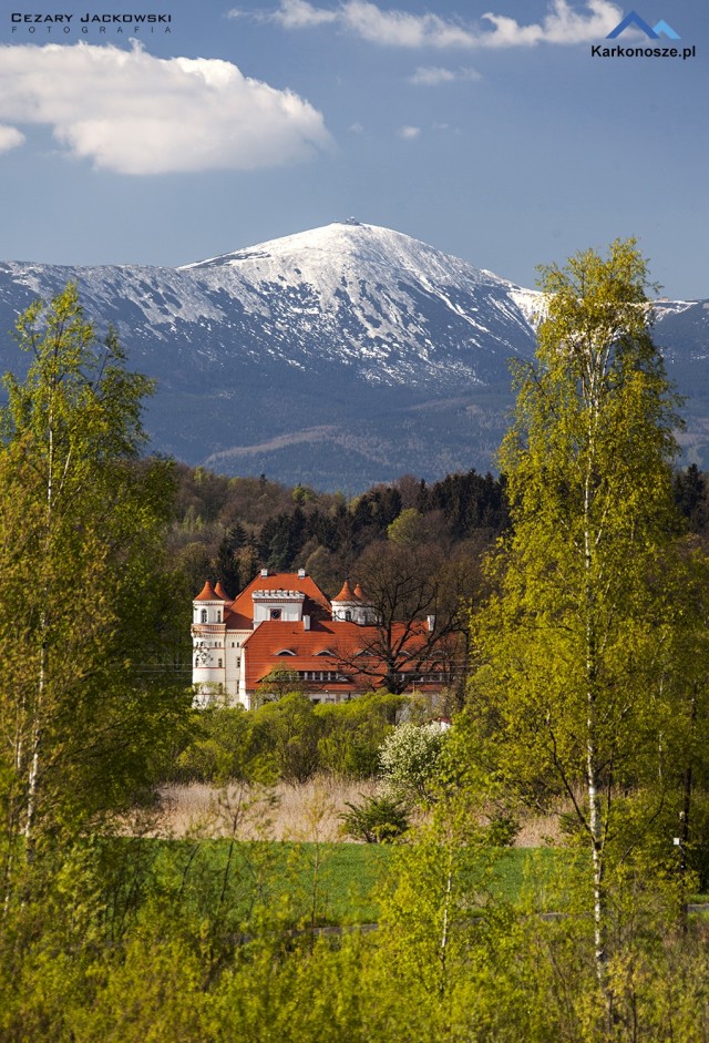 Pałac Wojanów 