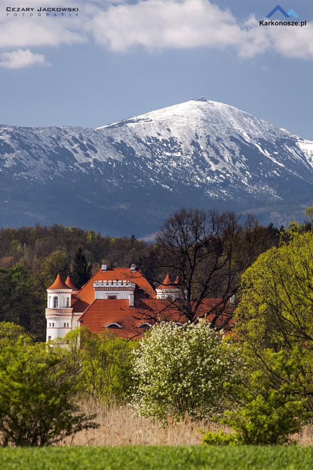 Pałac Wojanów 