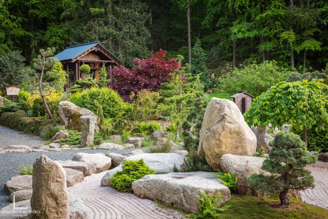 Mała Japonia - ogród Siruwia