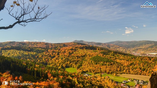 Widok z wieży