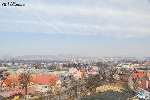 Widok z wieży na Góry Kaczawskie