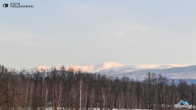 Śnieżka