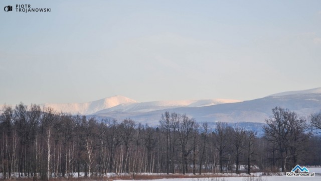 Śnieżka