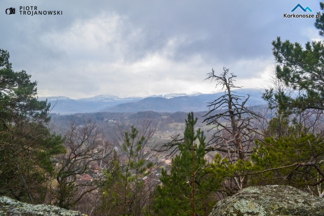 Widok na Śnieżkę z Witoszy