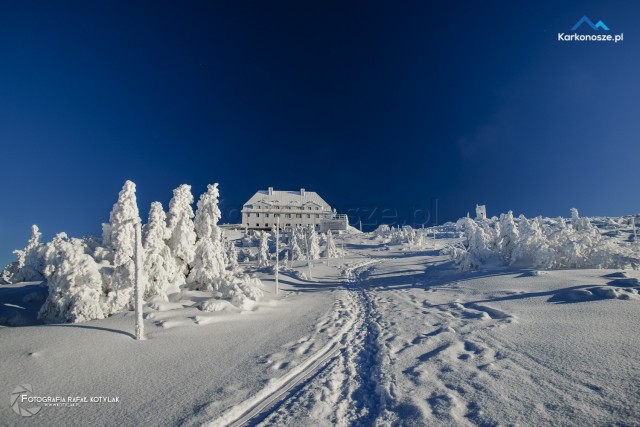 Zimą ze Szklarskiej Poręby przez Halę Szrenicką na Szrenicę