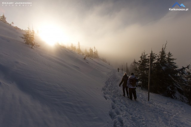 W drodze na Śnieżkę
