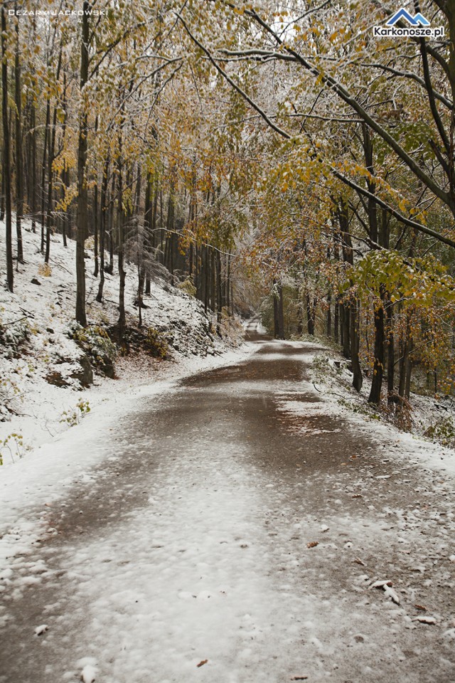 Chojnik i Piekielna Dolina