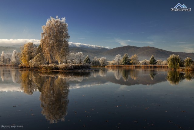 Stawy Podgórzyńskie i Aleja Dębowa