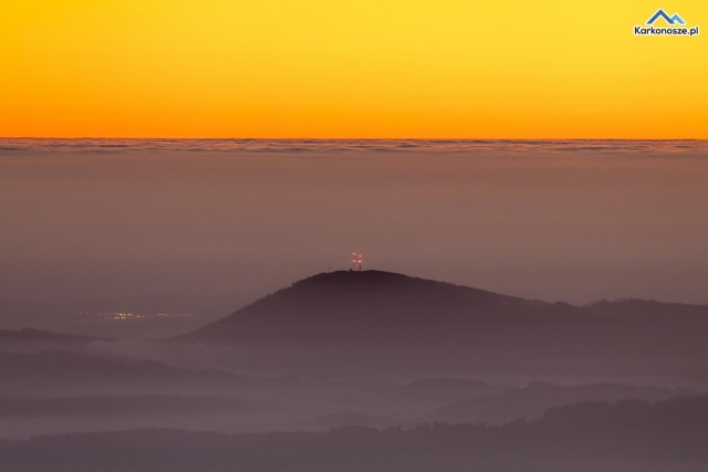 Galeria Łukasza Neronowicza
