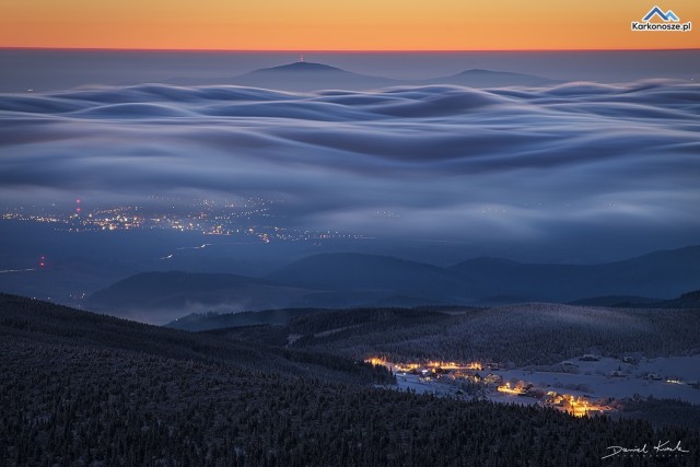 Galeria Daniela Koszeli