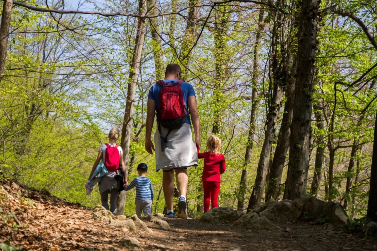 Wakacje w Karpaczu – przygoda, relaks i natura w jednym!