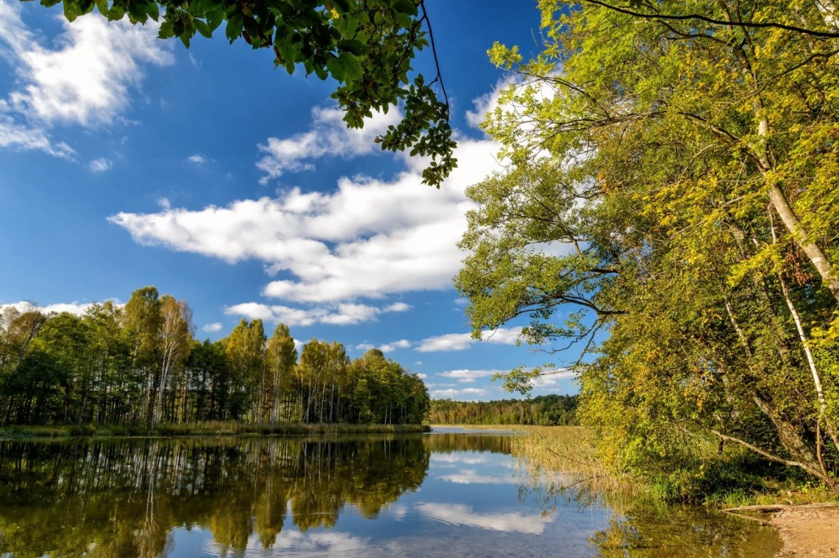 Bęsia – wakacje nad jeziorem na Mazurach