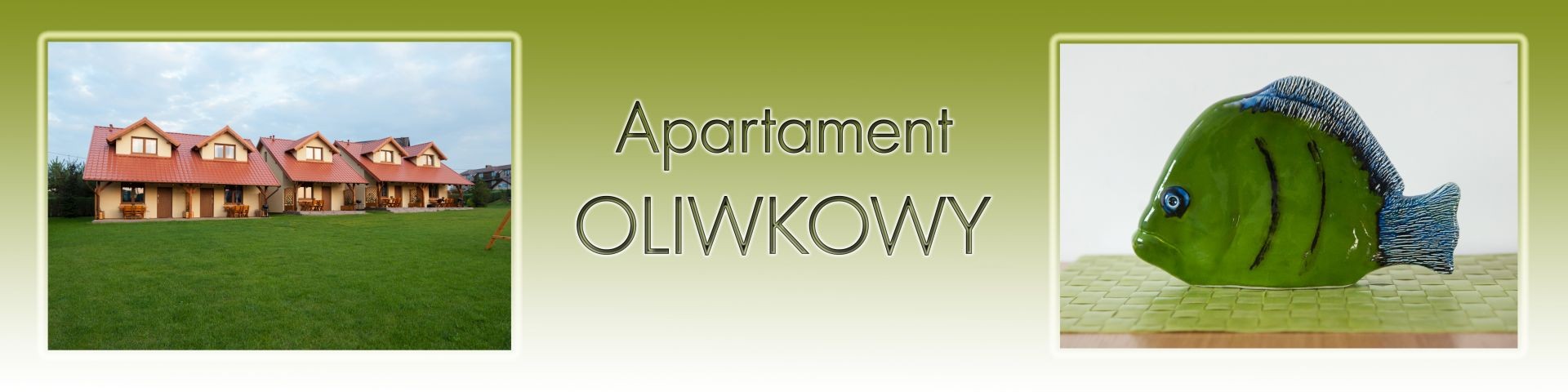 Domki Apartamentowe WIKING
