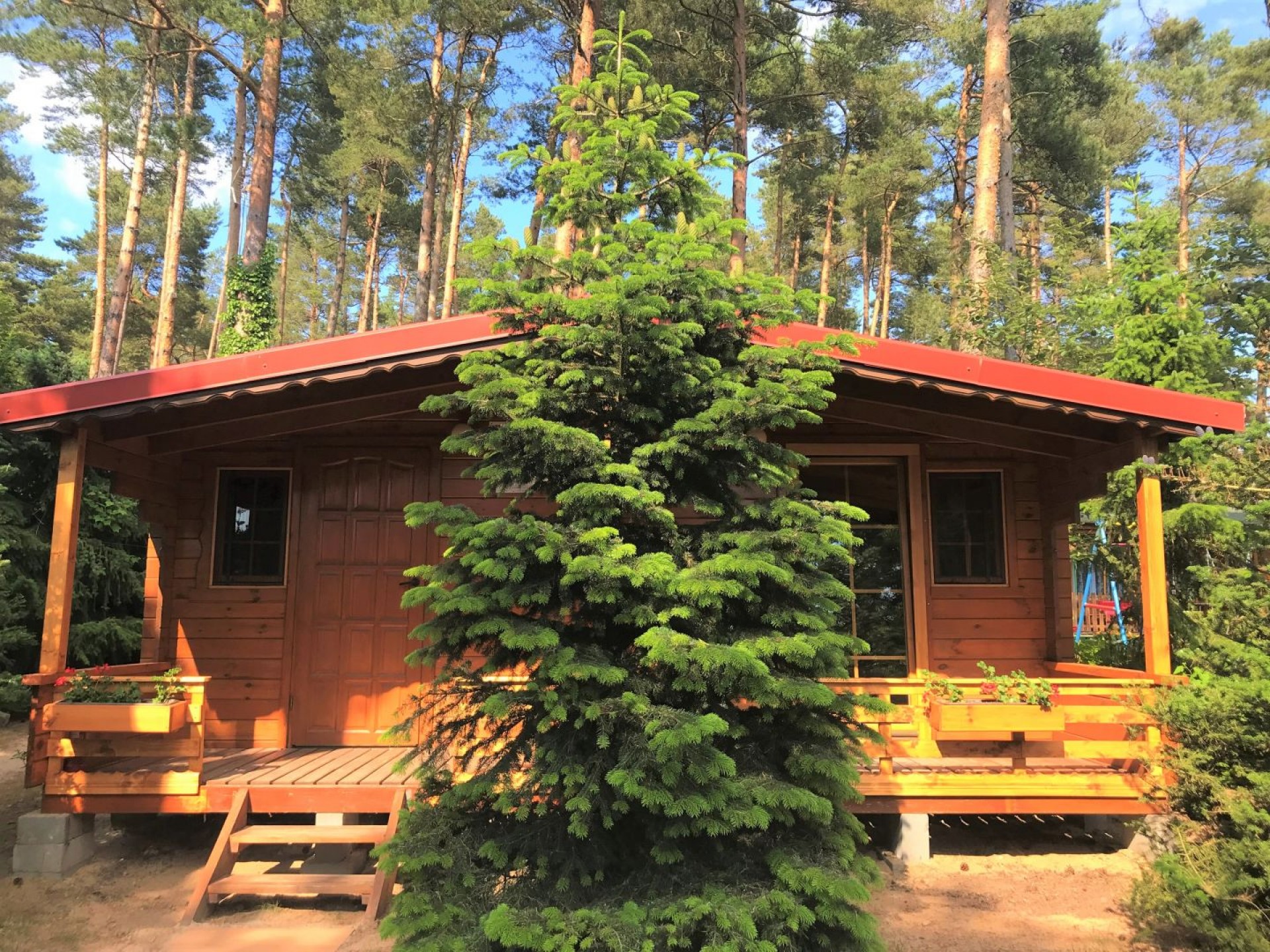 Domki LEŚNE ZACISZE
