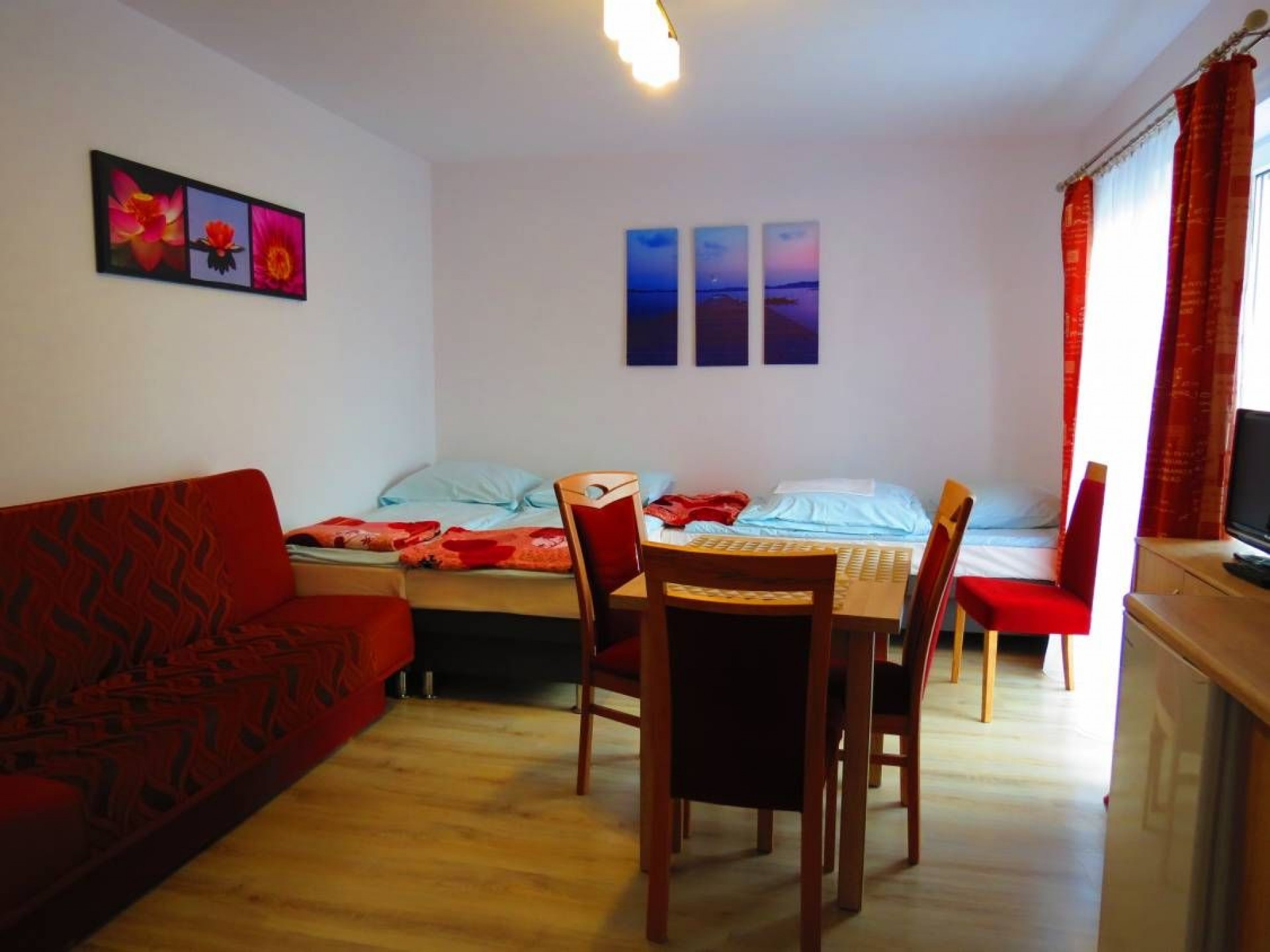 Willa FENIX i Willa IBIS