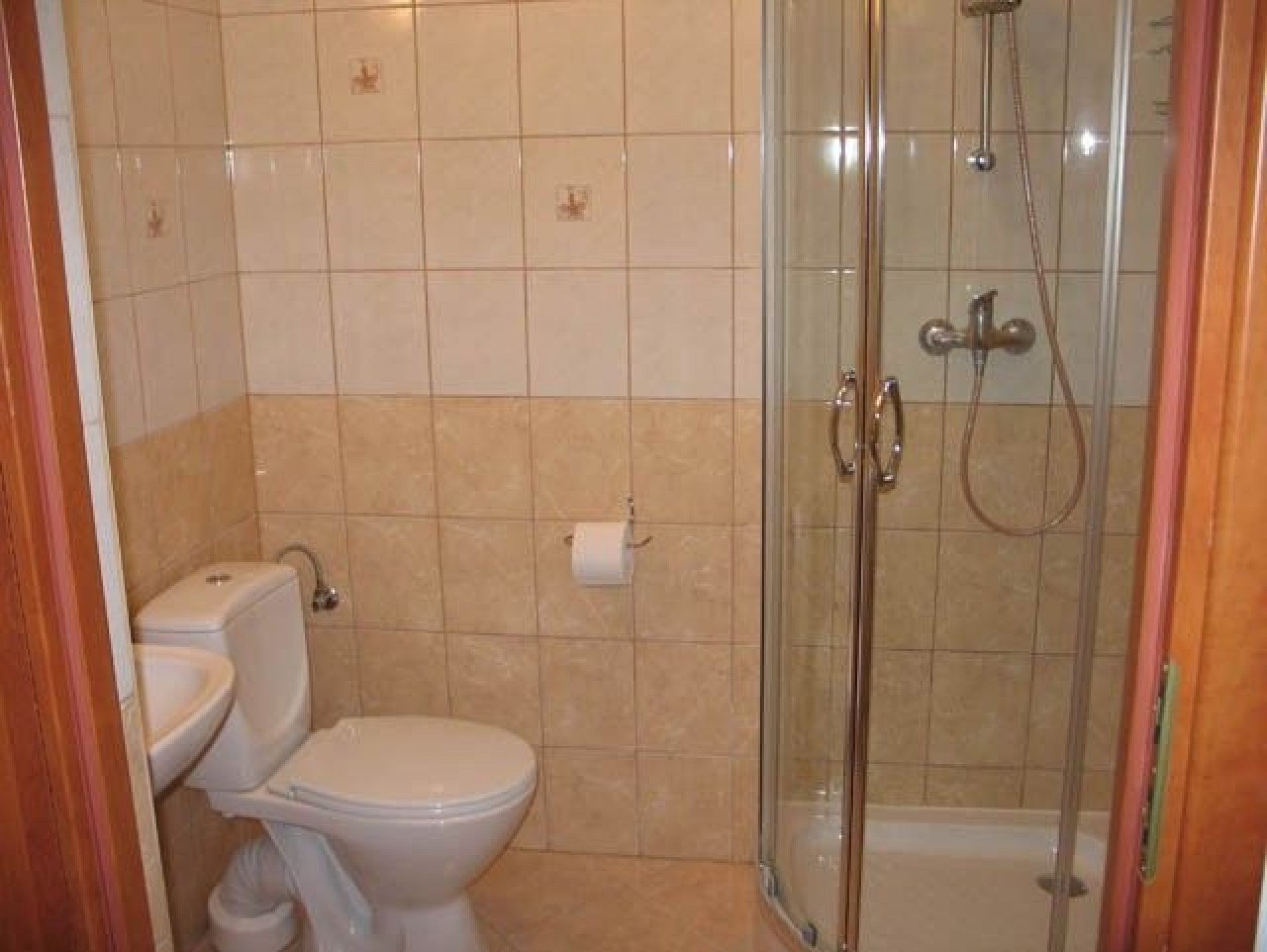 Willa FENIX i Willa IBIS