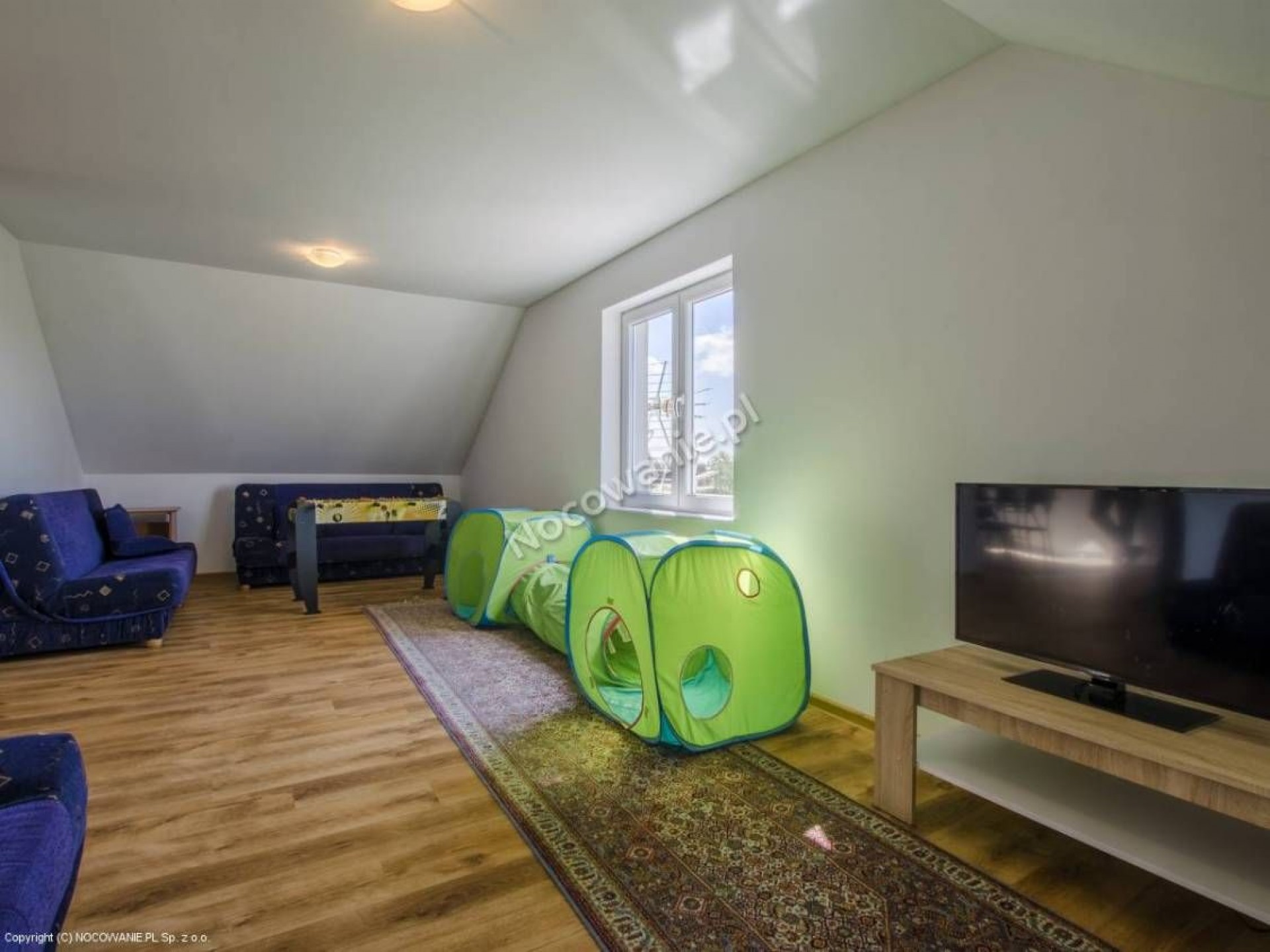 Willa FENIX i Willa IBIS