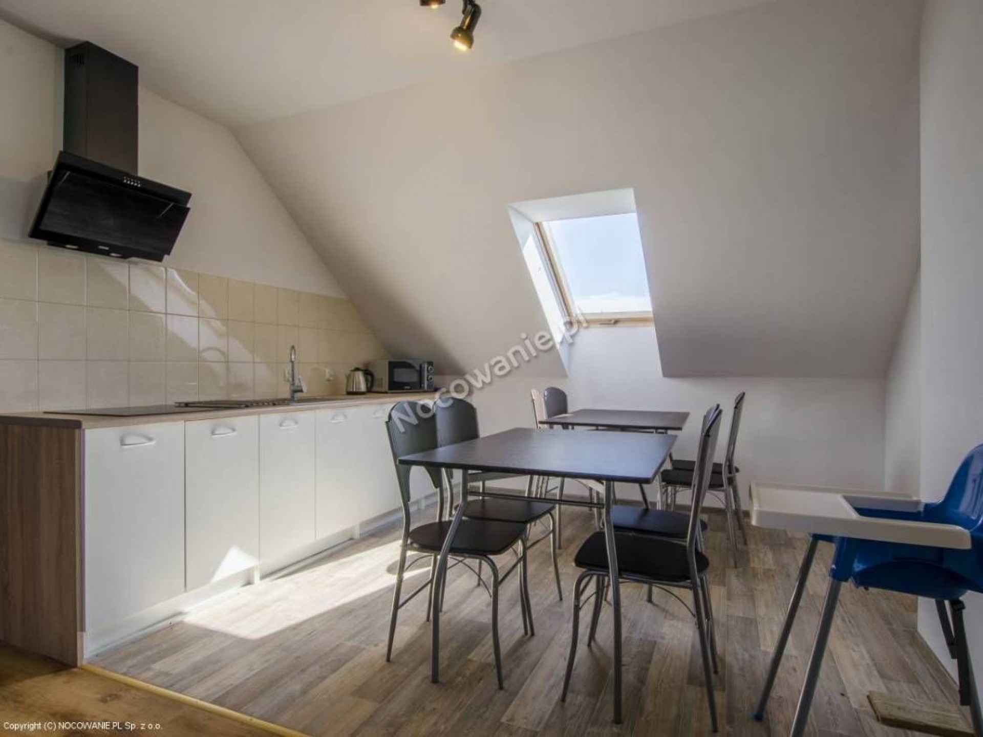 Willa FENIX i Willa IBIS