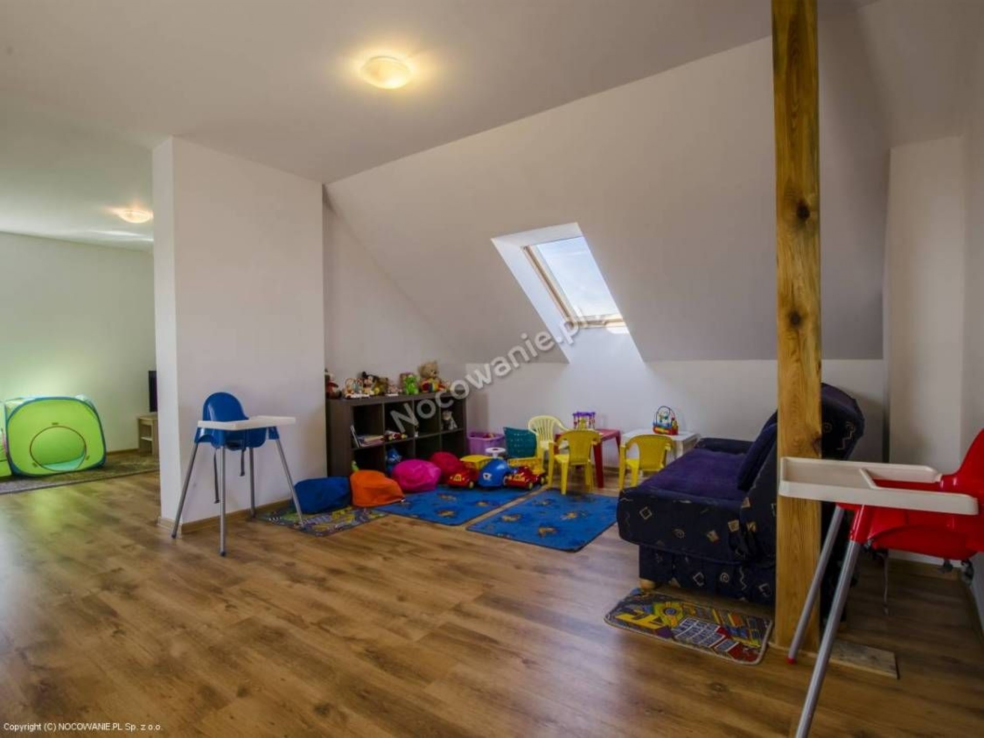 Willa FENIX i Willa IBIS