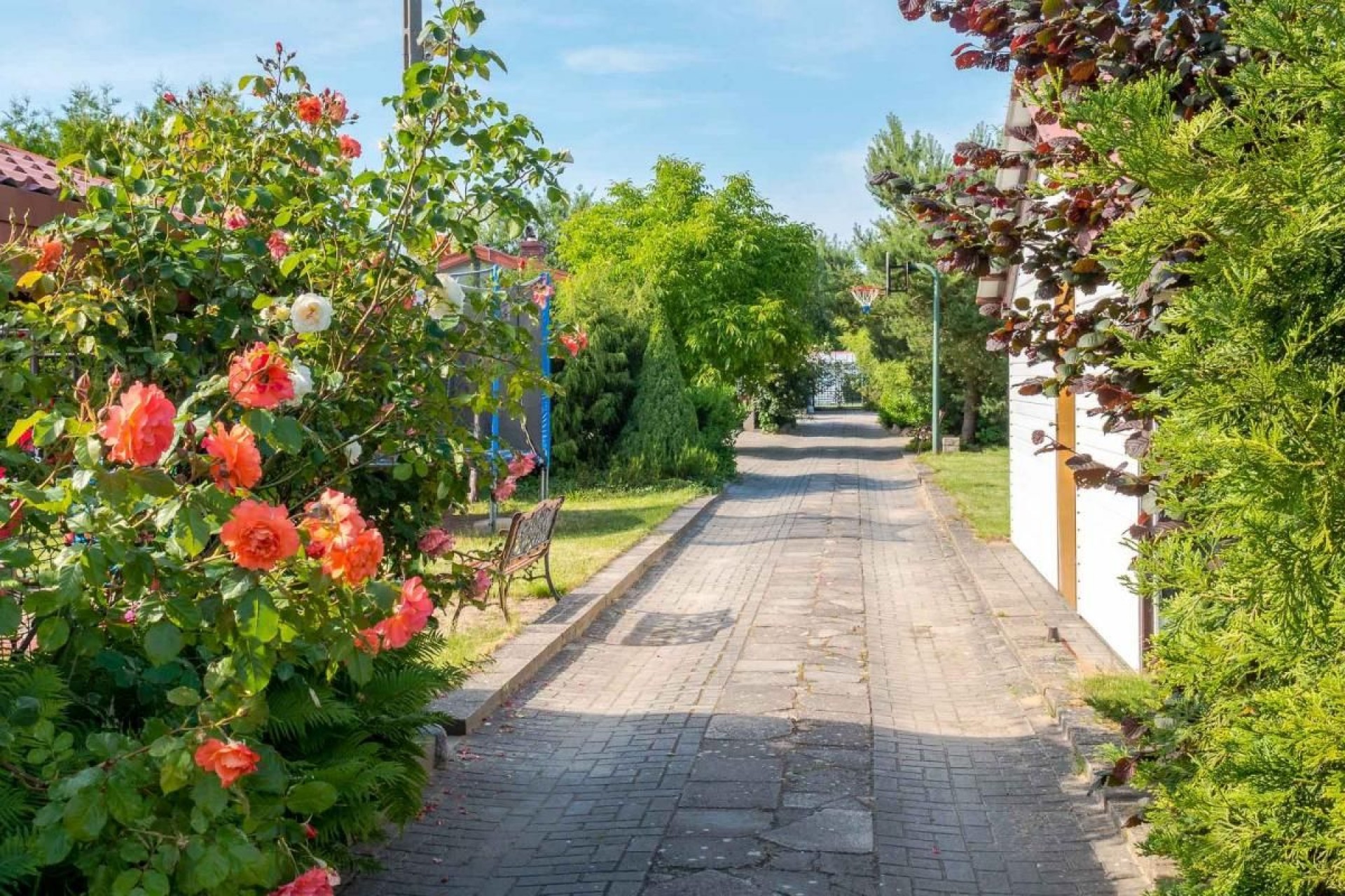 Domki Letniskowe  EL DAR