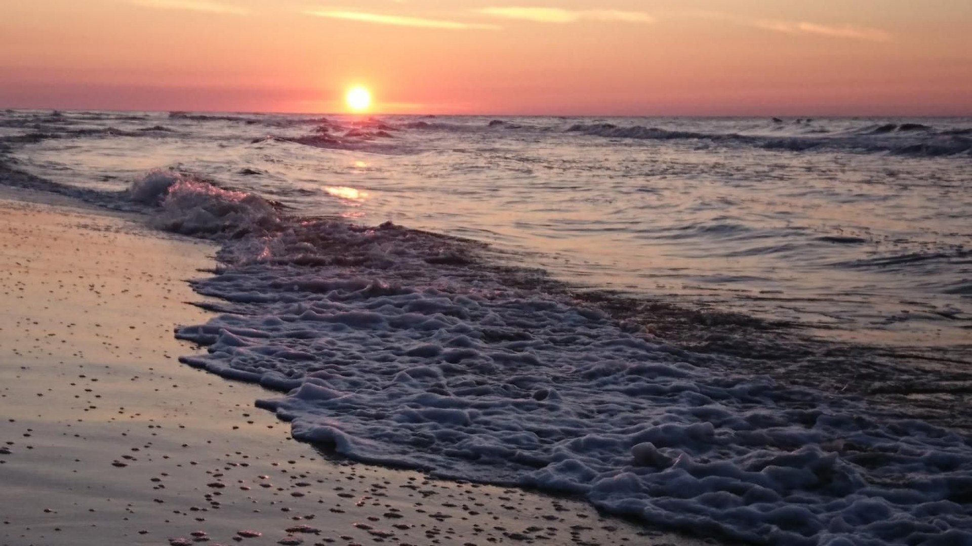 Domki Drewniane Całoroczne PLEJADY