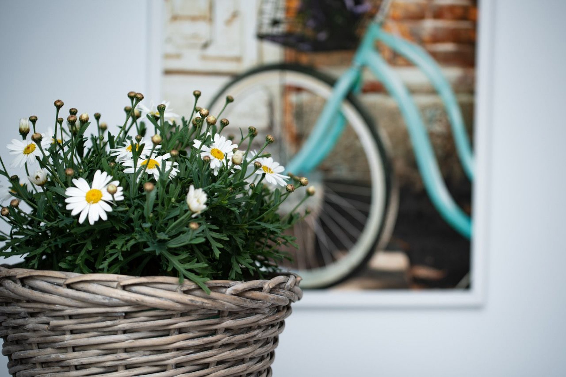 Pokoje i Apartamenty KOLIBER