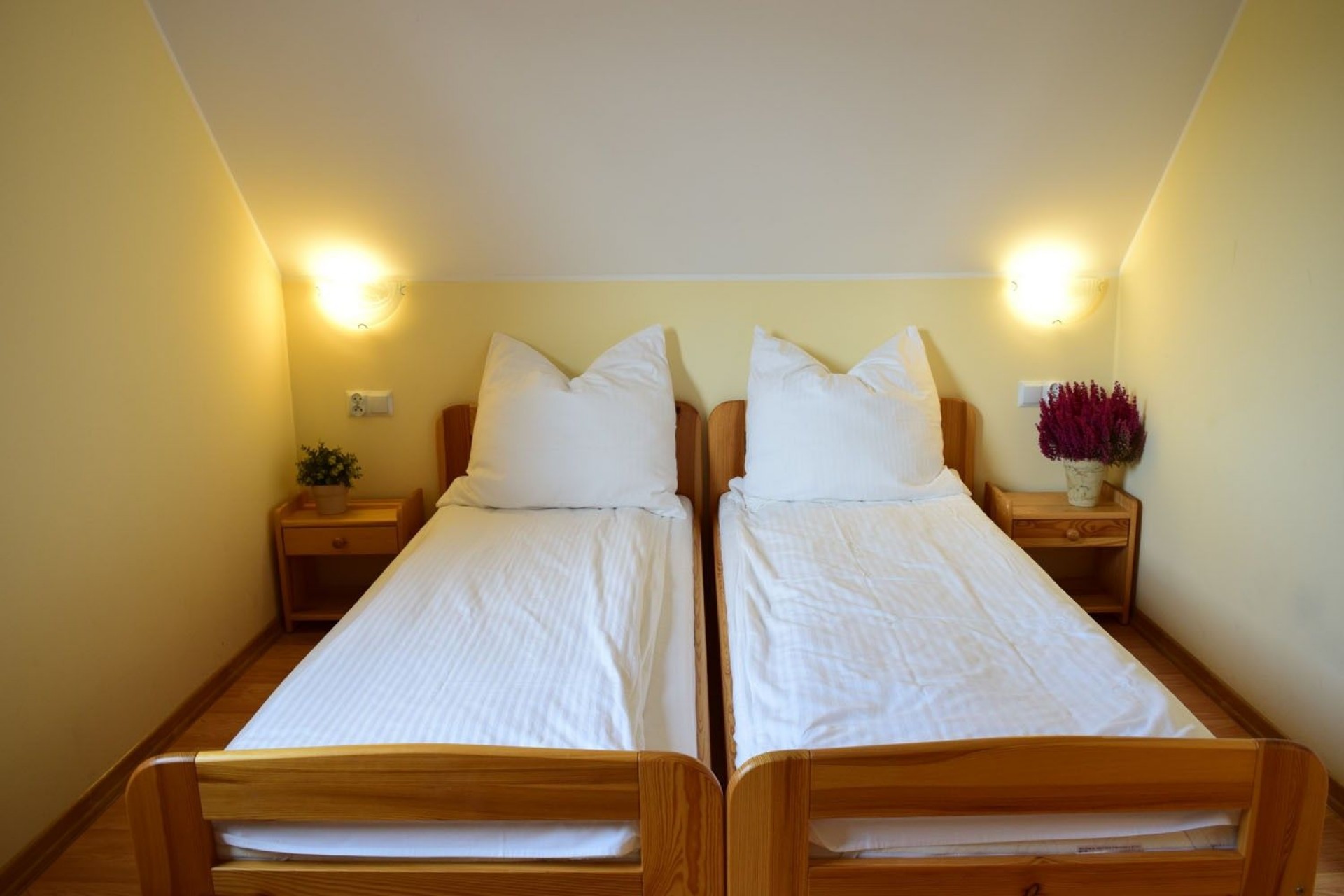 Domki Green Park Sport