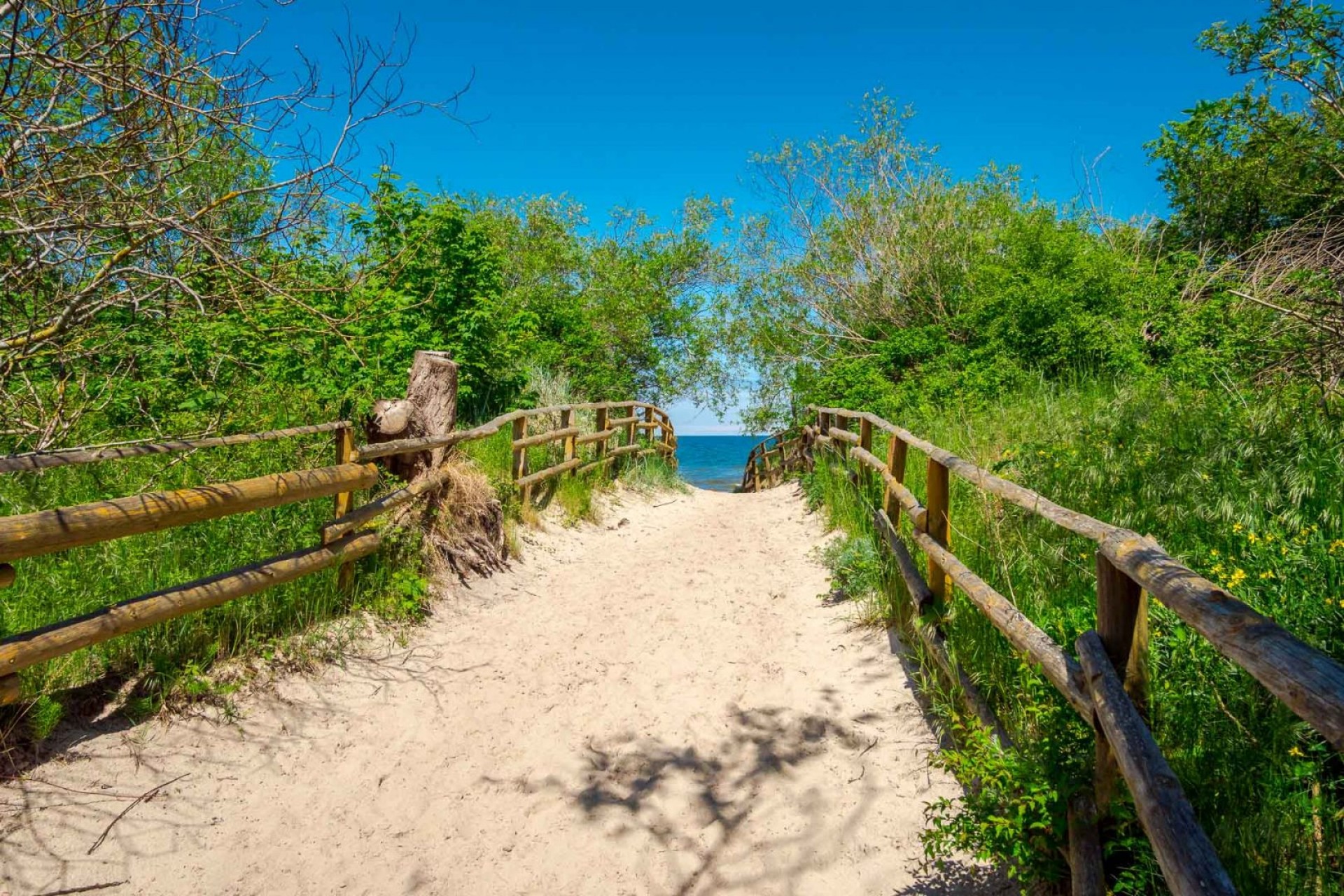 Pole Namiotowe i Pokoje U GIENIA