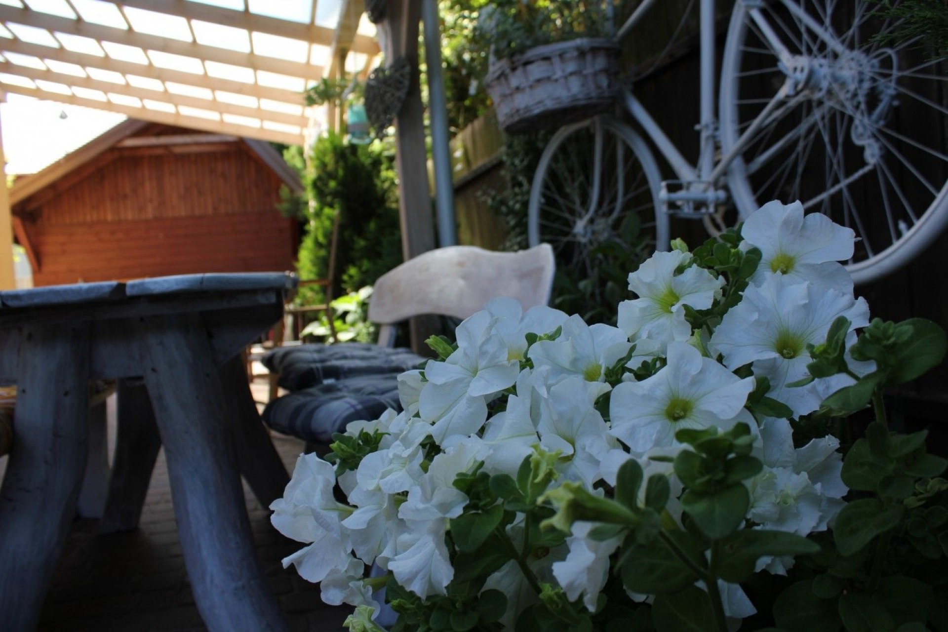 Pokoje Gościnne STOKROTKA