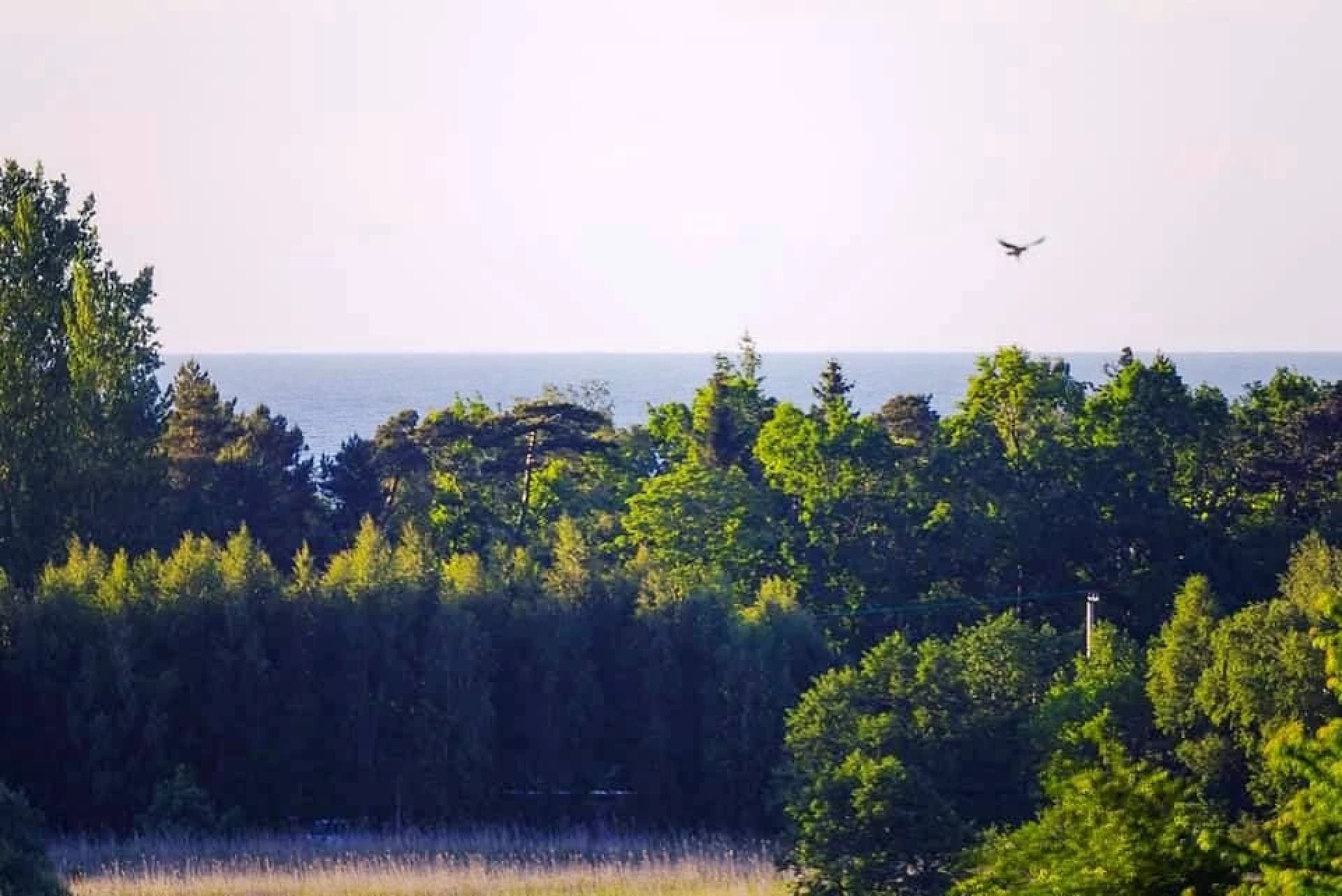 Apartamenty ZAKĄTEK OSTROWO