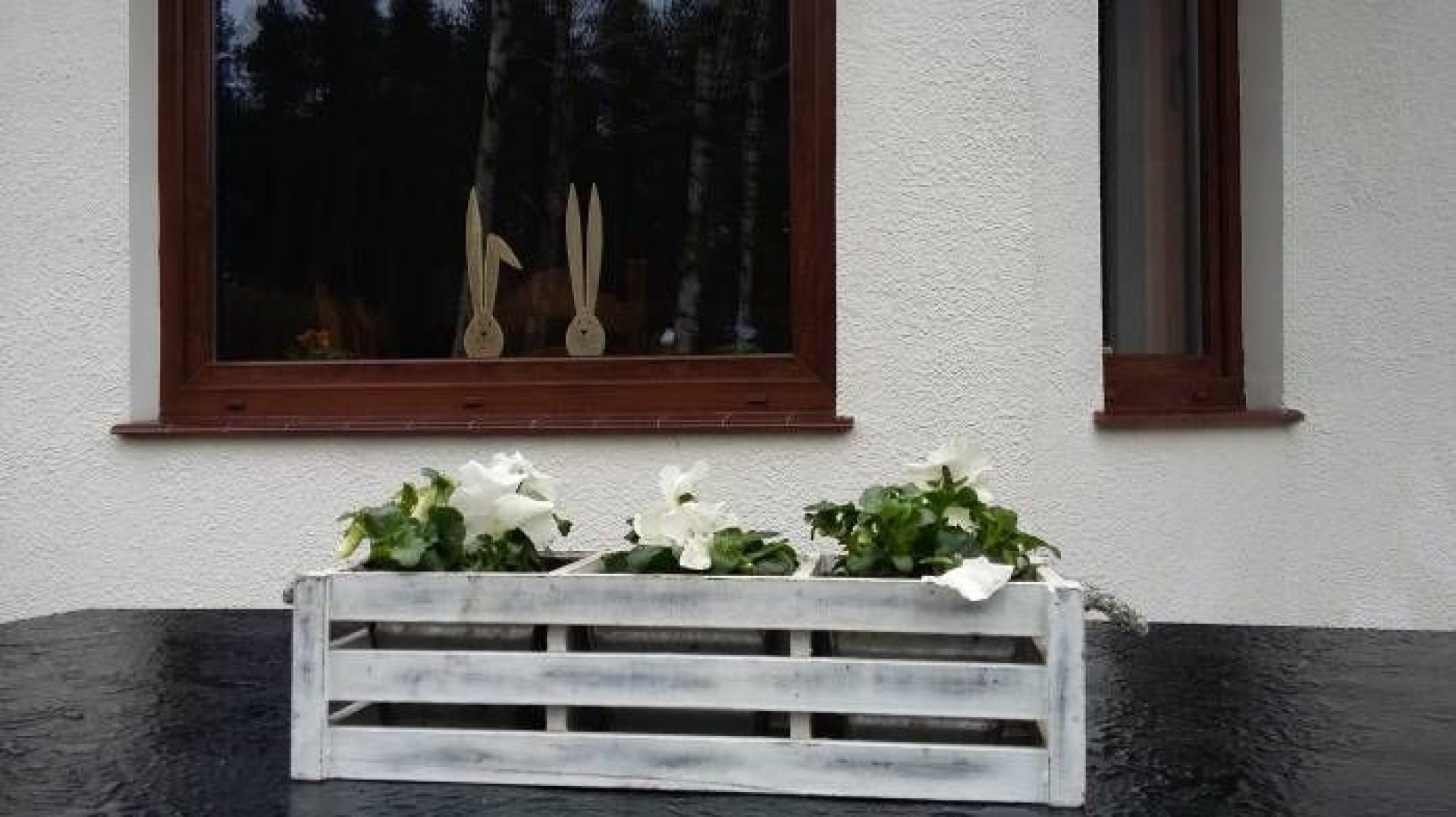 Dom do wynajęcia ZACISZE