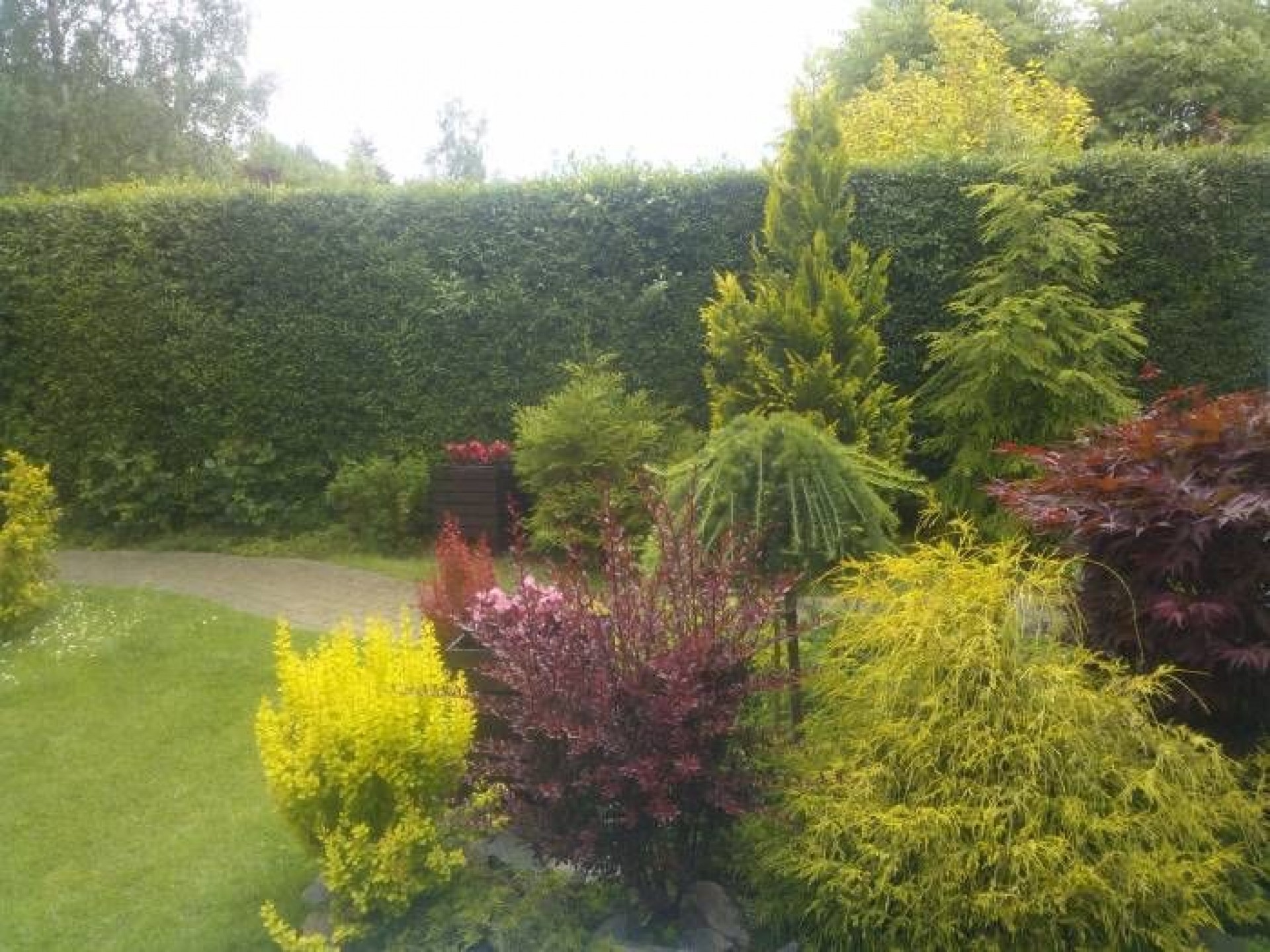 Dom do wynajęcia ZACISZE