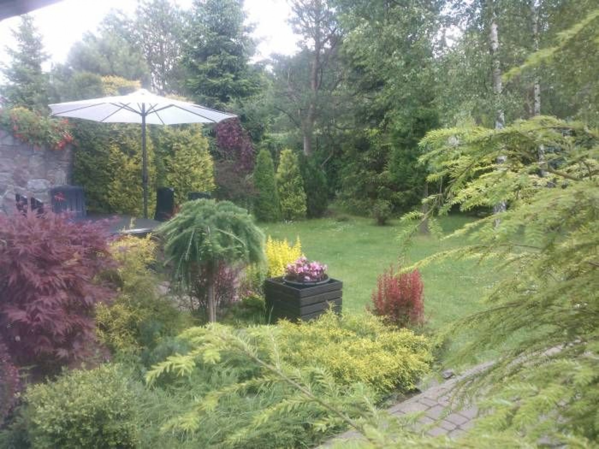 Dom do wynajęcia ZACISZE