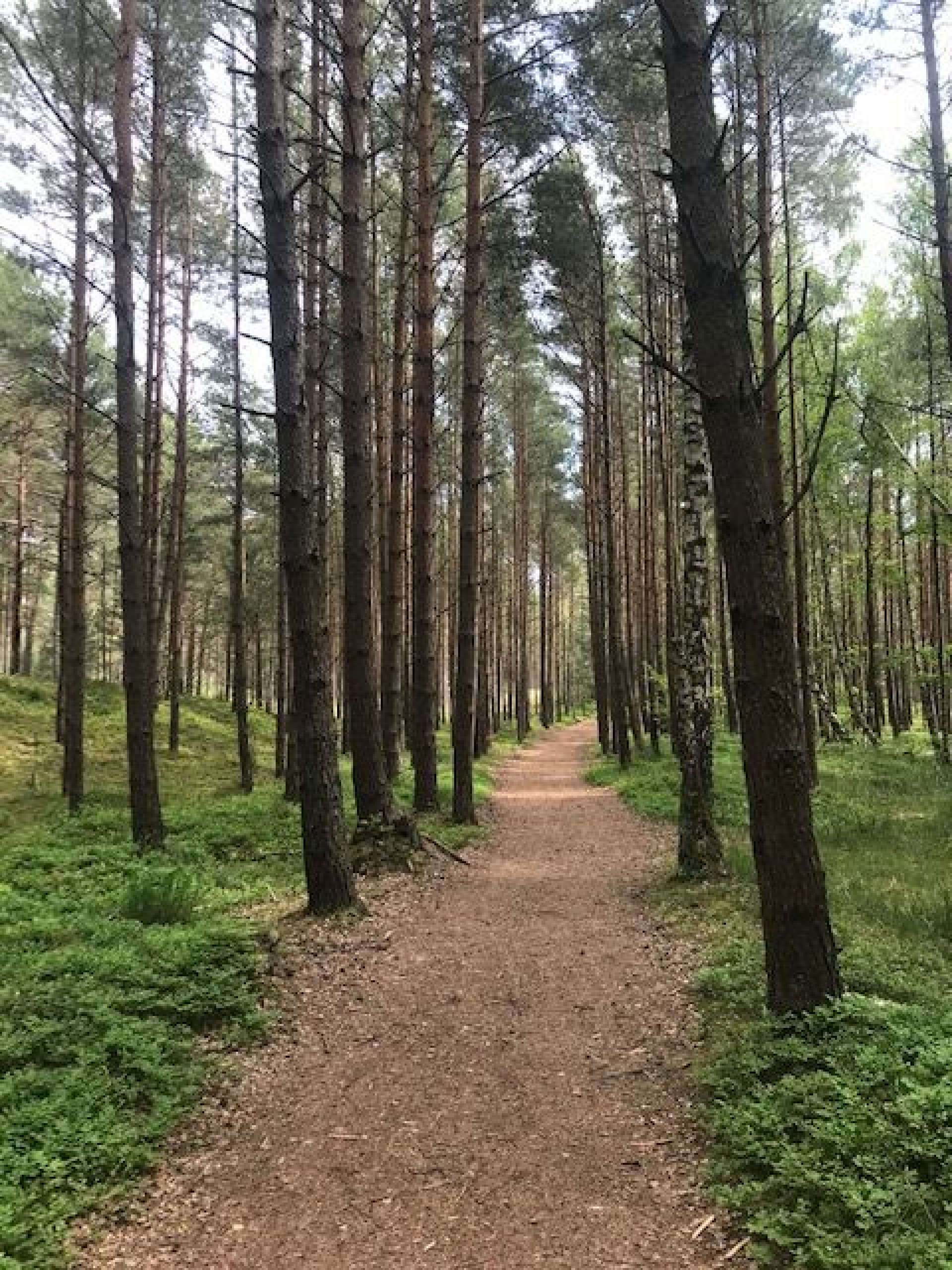 Domki w centrum Białogóra