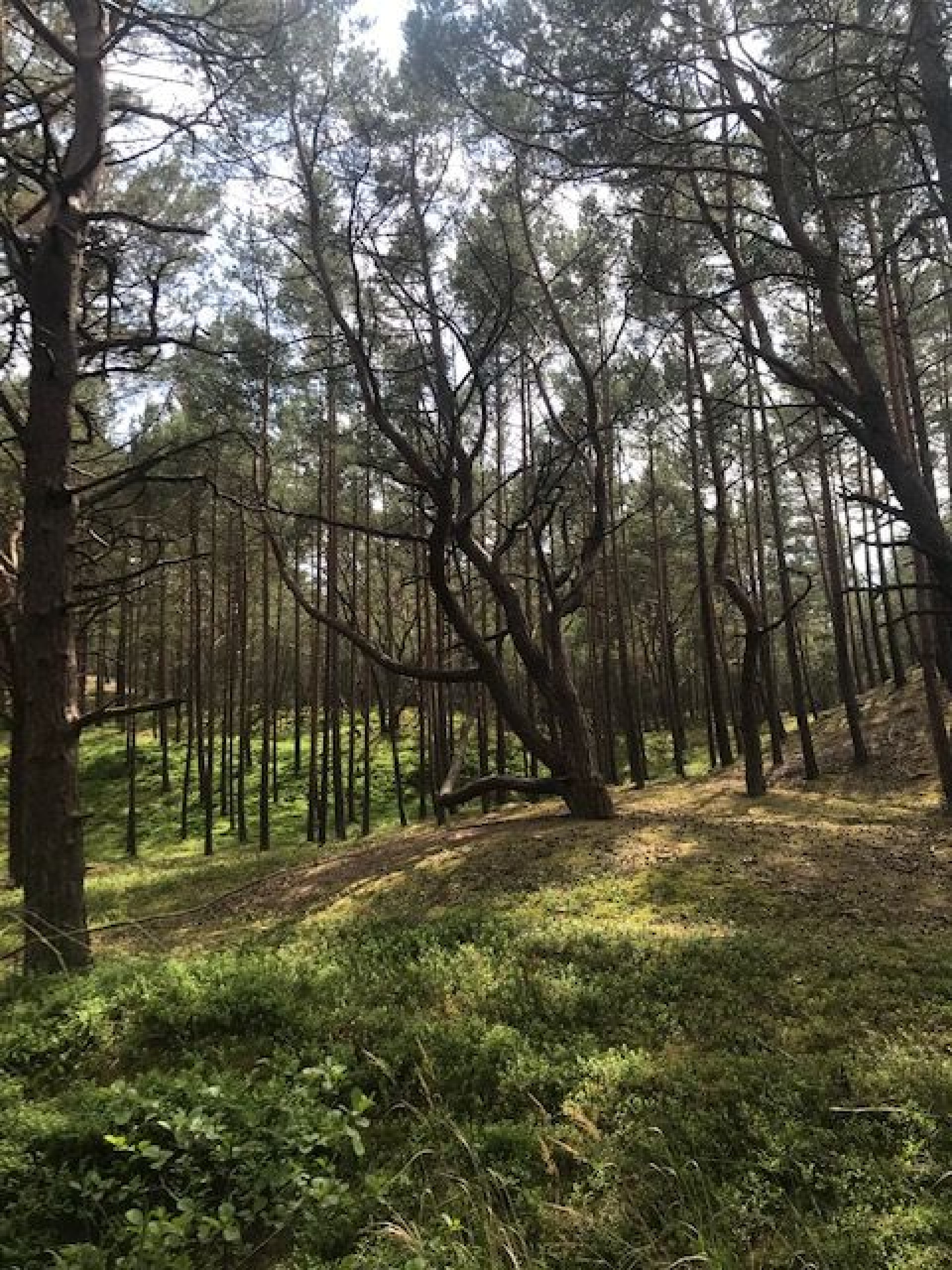 Domki w centrum Białogóra