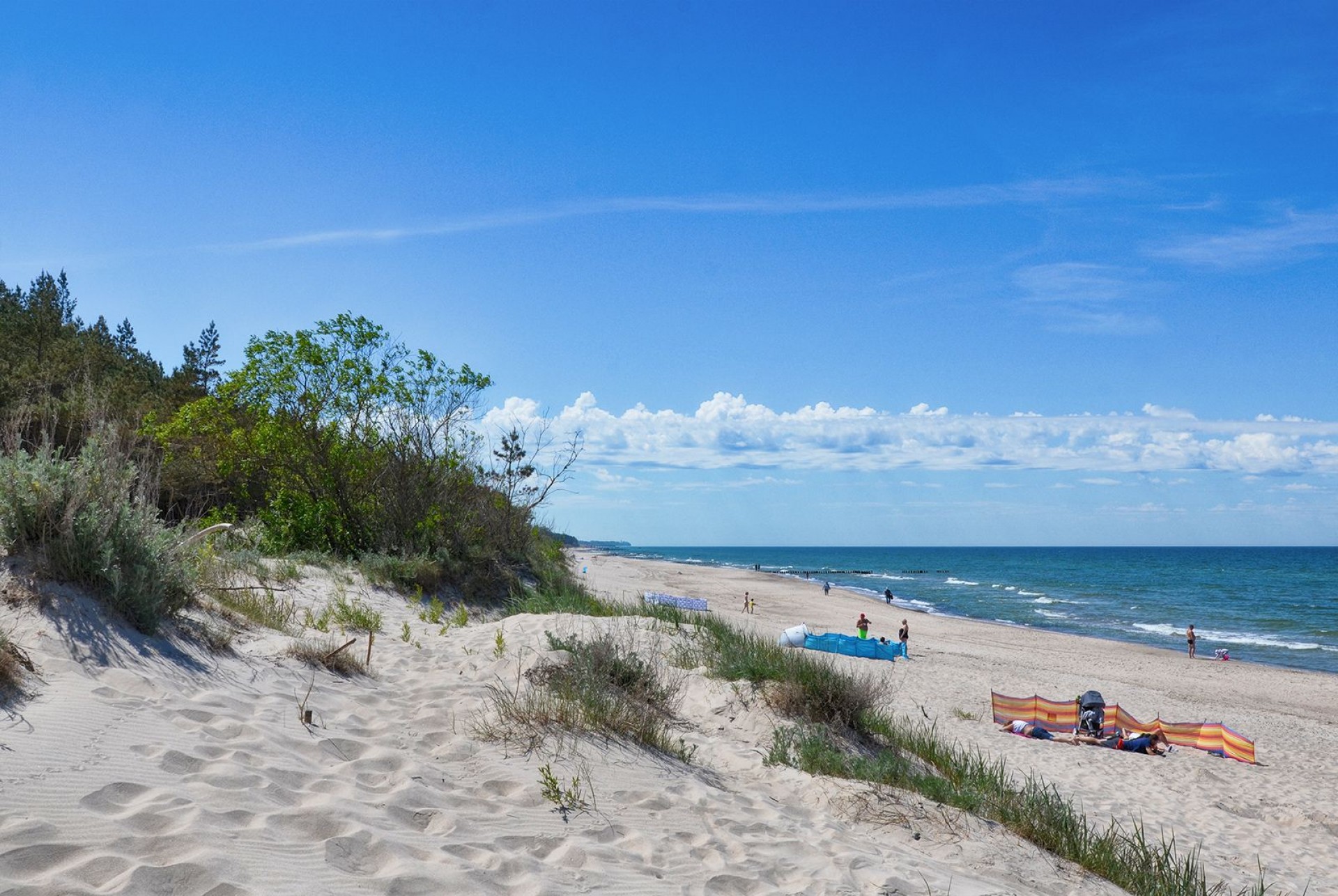 Morska Lilia