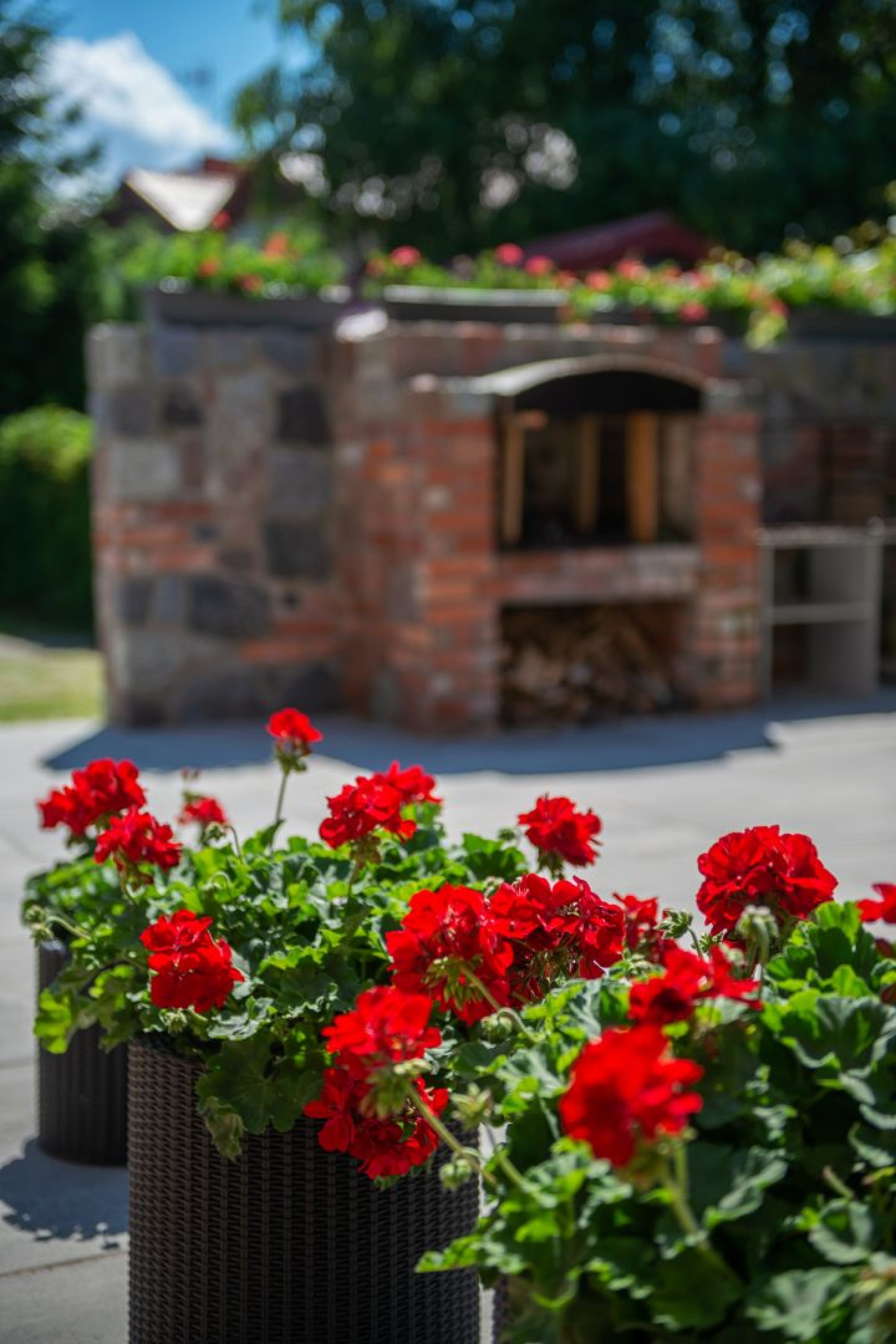 Apartamenty i Pokoje RÓŻA BAŁTYKU