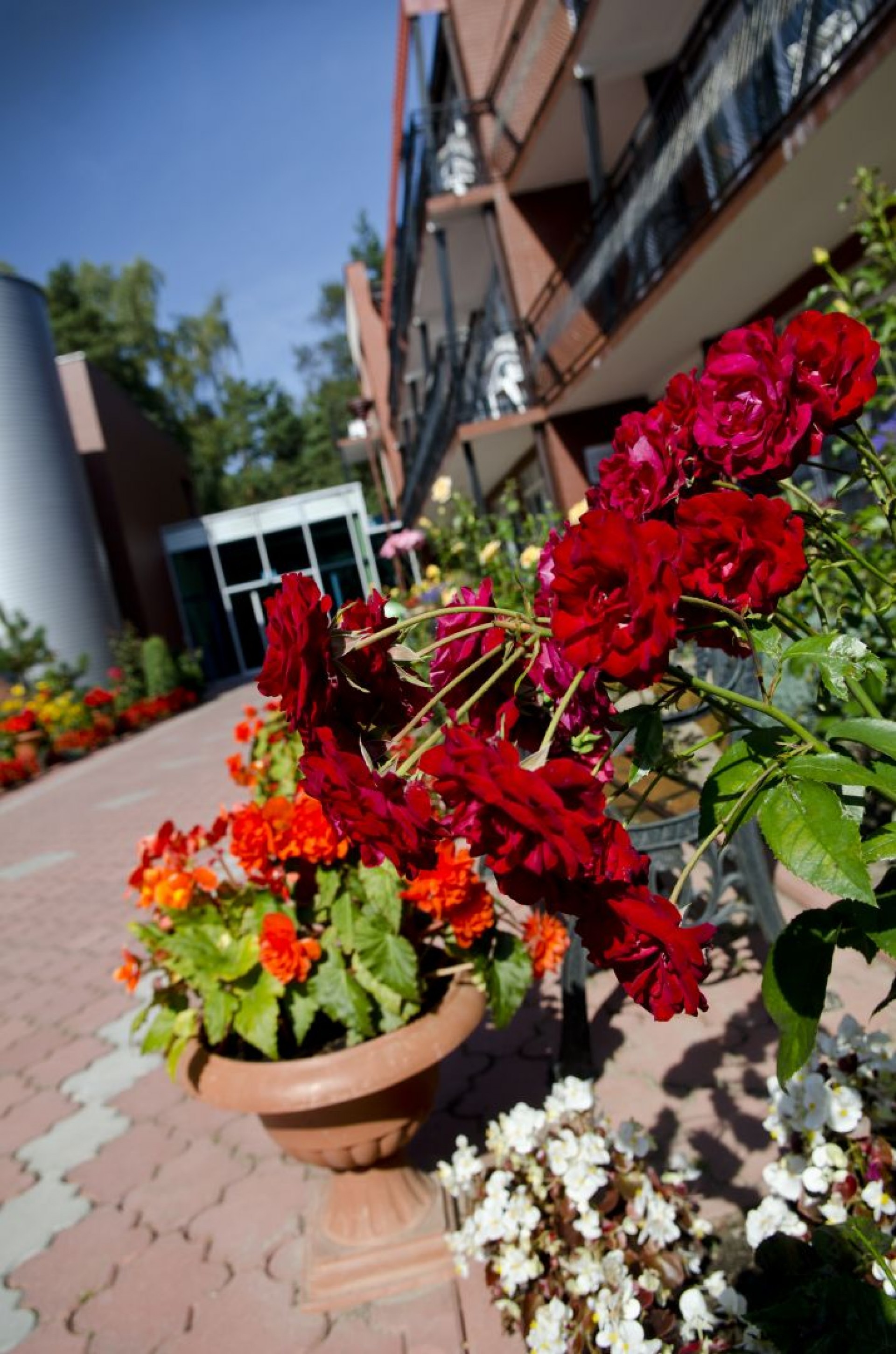 Laguna Kompleks Wypoczynkowo Rekreacyjny