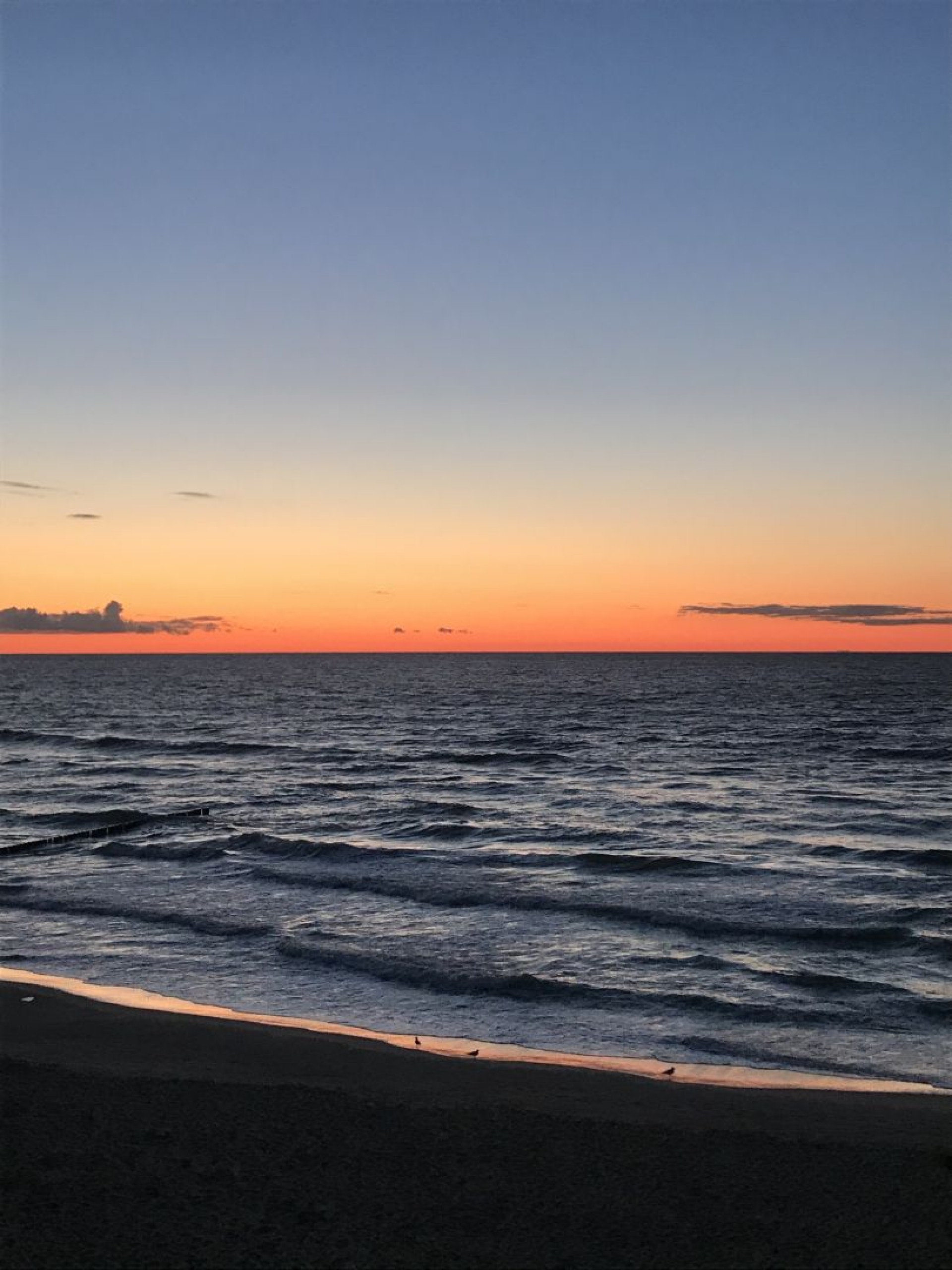 Domki letniskowe Gwiazda