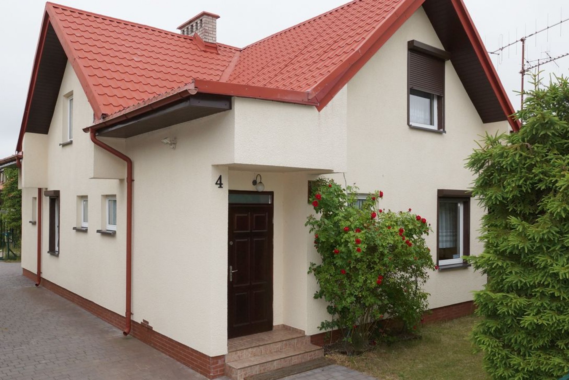 Wiewiórka
