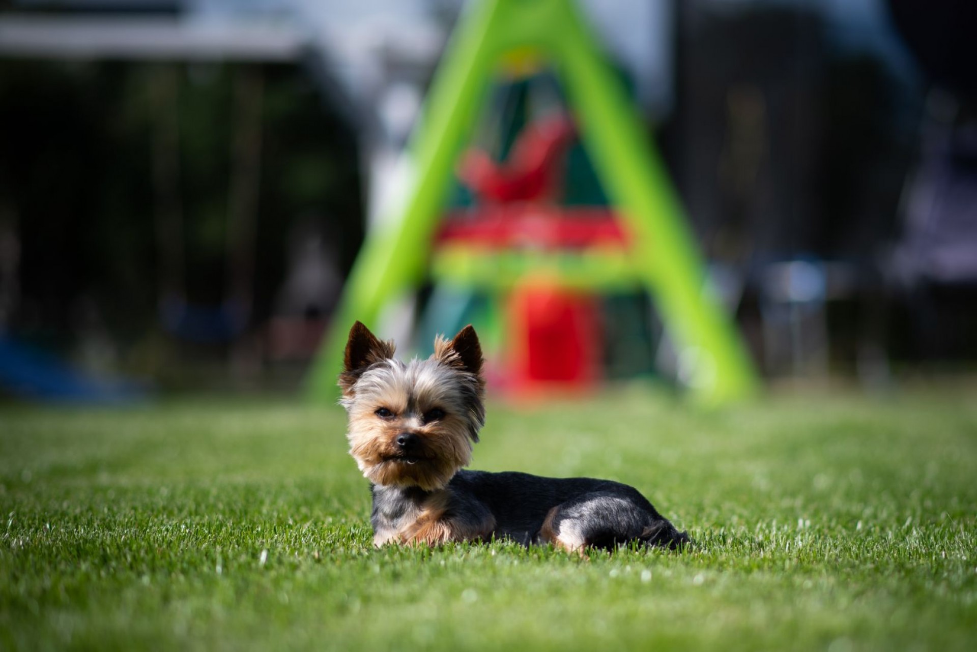 Domki CAŁA NAPRZÓD