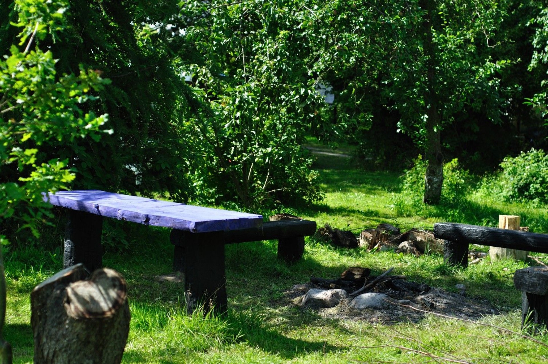 Rodzinne Wczasy Pod Gruszą AGNIESZKA ZIARKOWSKA