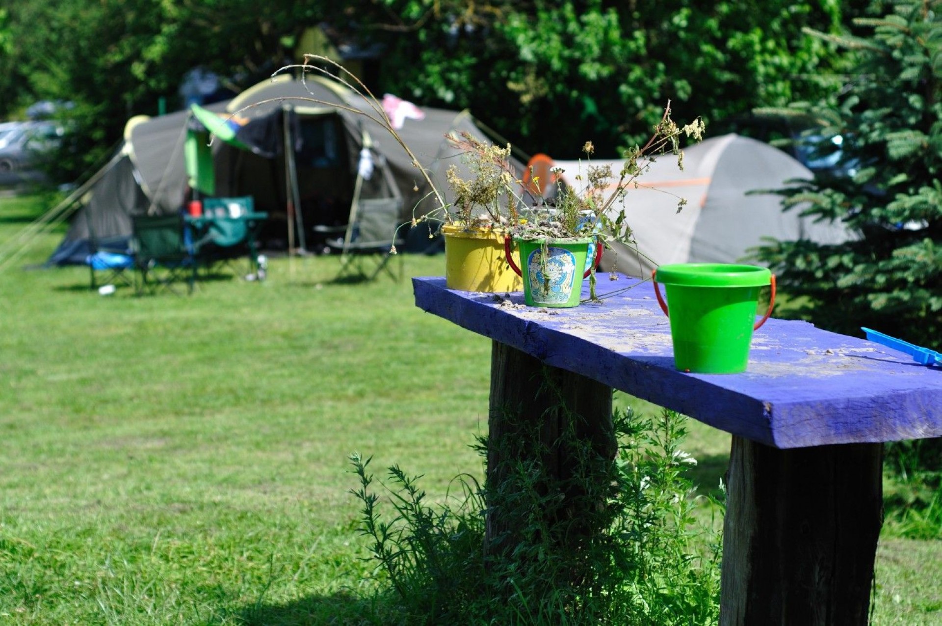 Rodzinne Wczasy Pod Gruszą AGNIESZKA ZIARKOWSKA