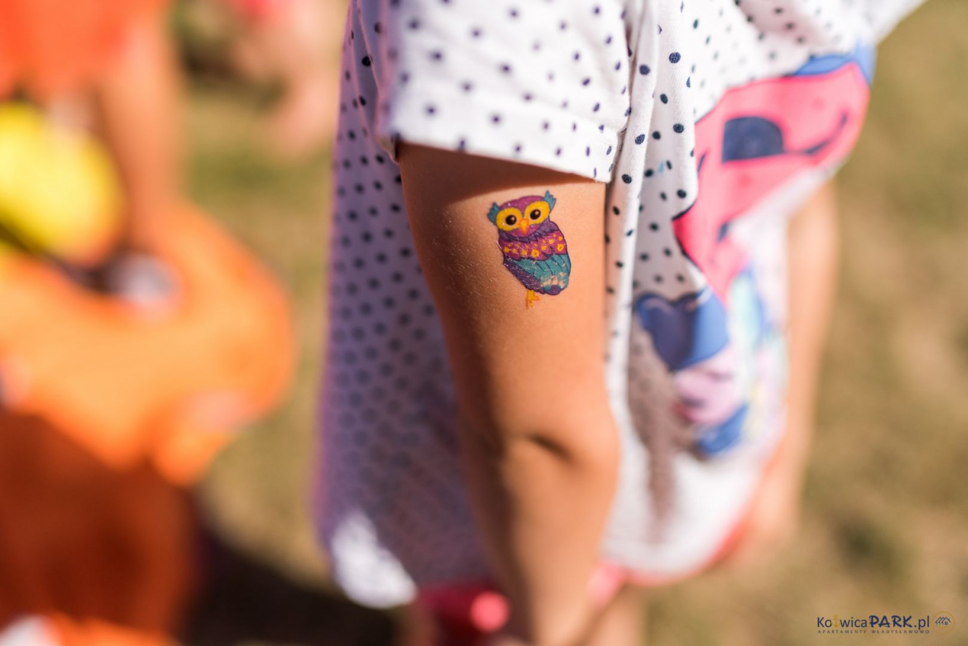 Domki Apartamentowe KOTWICA PARK